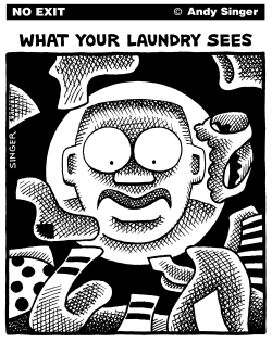 WHAT YOUR LAUNDRY SEES by Andy Singer