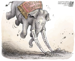 REPEAL AND REPLACE CAMPAIGN  by Adam Zyglis