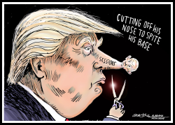TRUMP SESSIONS NOSE by J.D. Crowe