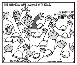 ANTI-ISRAE RIOTS by Yaakov Kirschen