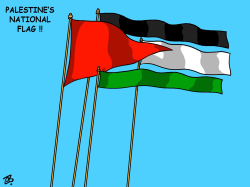 PALESTINES NATIONAL FLAG by Emad Hajjaj