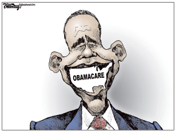 OBAMACARE by Bill Day
