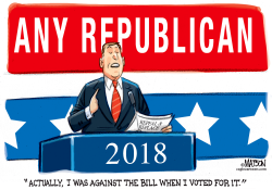 REPEAL AND REPLACE REPUBLICAN IN 2018 by R.J. Matson