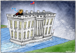 TRUMP AND WHITE HOUSE CRISIS by Brian Adcock