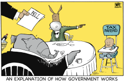 HOW GOVERNMENT WORKS,  by Randy Bish