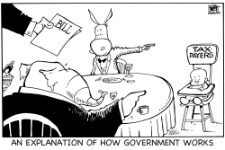 HOW GOVERNMENT WORKS, B/W by Randy Bish