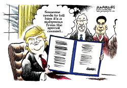 SPECIAL COUNSEL SUBPOENAS  by Jimmy Margulies