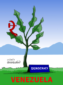 DEMOCRACY UNDER ATTACK by Arcadio Esquivel
