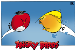 ANGRY BIRDS WITH NUKES,  by Randy Bish