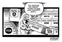 FALLOUT SHELTER by Jimmy Margulies