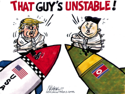 UNSTABLE by Steve Nease