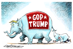 TRUMP AND KLAN FOLLOWERS  by Dave Granlund