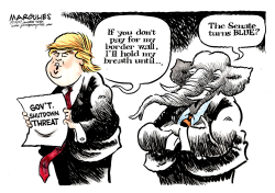 TRUMP BORDER WALL by Jimmy Margulies