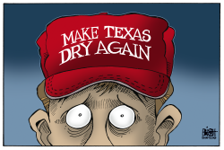 TEXAS FLOODS,  by Randy Bish