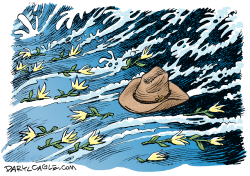TEXAS FLOOD VICTIMS by Daryl Cagle