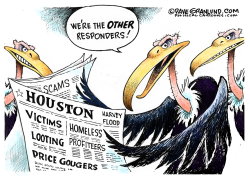 Houston flood vultures  by Dave Granlund