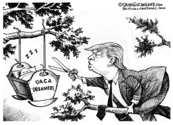 DACA DREAMERS AND TRUMP by Dave Granlund
