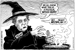 DELAY WITCH HUNT by Wolverton