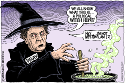 DELAY WITCH HUNT    by Wolverton