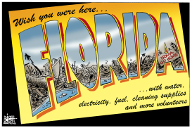 FLORIDA HURRICANE CLEAN UP,  by Randy Bish