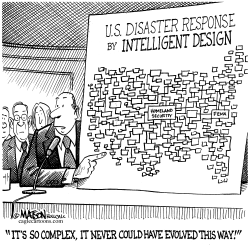 INTELLIGENT DESIGN DISASTER RESPONSE by R.J. Matson
