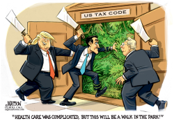 REPUBLICANS SAY TAX REFORM WILL BE EASIER by R.J. Matson