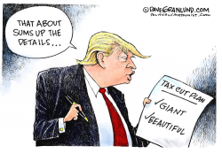 TRUMP AND TAX PLAN DETAILS  by Dave Granlund