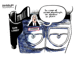CONGRESS AND GUN LOBBY  by Jimmy Margulies