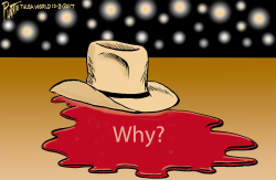 WHY by Bruce Plante