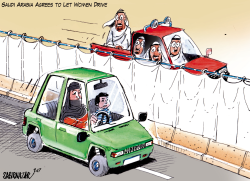 WOMEN DRIVERS IN SAUDI ARABIA by Sabir Nazar