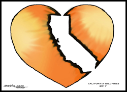 HEARTBREAKING CALIFORNIA WILDFIRES by J.D. Crowe