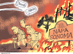 CALIFORNIA FIRES by Pat Bagley