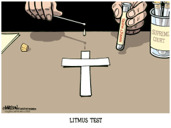 -LITMUS TEST by R.J. Matson