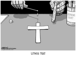 LITMUS TEST by R.J. Matson