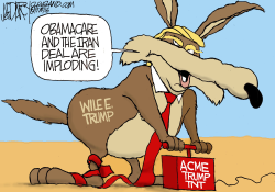 WILE E TRUMP ON OBAMACARE by Jeff Darcy