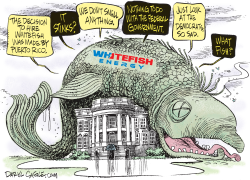 WHITE HOUSE AND WHITEFISH by Daryl Cagle