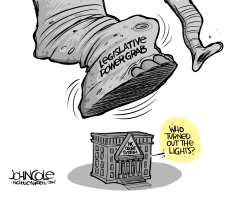 LOCAL NC COURTS AND THE LEGISLATURE by John Cole
