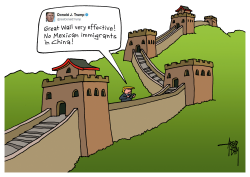 TRUMP AND GREAT WALL by Arend Van Dam