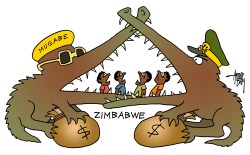 ZIMBABWE by Arend Van Dam
