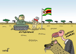 MILITARY COUP IN ZIMBABWE by Stephane Peray