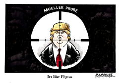 IN LIKE FLYNN  by Jimmy Margulies