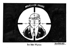 IN LIKE FLYNN by Jimmy Margulies