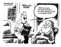 MUELLER PROBE by Jimmy Margulies