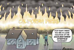 CALIFORNIA FIRES by Steve Greenberg