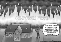 CALIFORNIA FIRES BW by Steve Greenberg