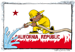 California Firefighter Flag by Daryl Cagle