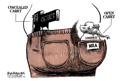 CONCEALED CARRY  by Jimmy Margulies