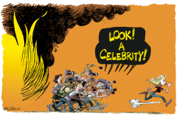 CELEBRITY FIRES AND THE MEDIA REPOST by Daryl Cagle