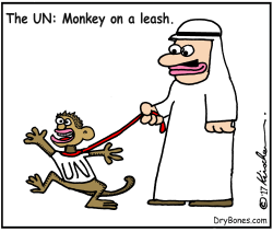 THE UN by Yaakov Kirschen