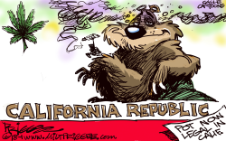 CALIFORNIA DREAMIN' by Milt Priggee